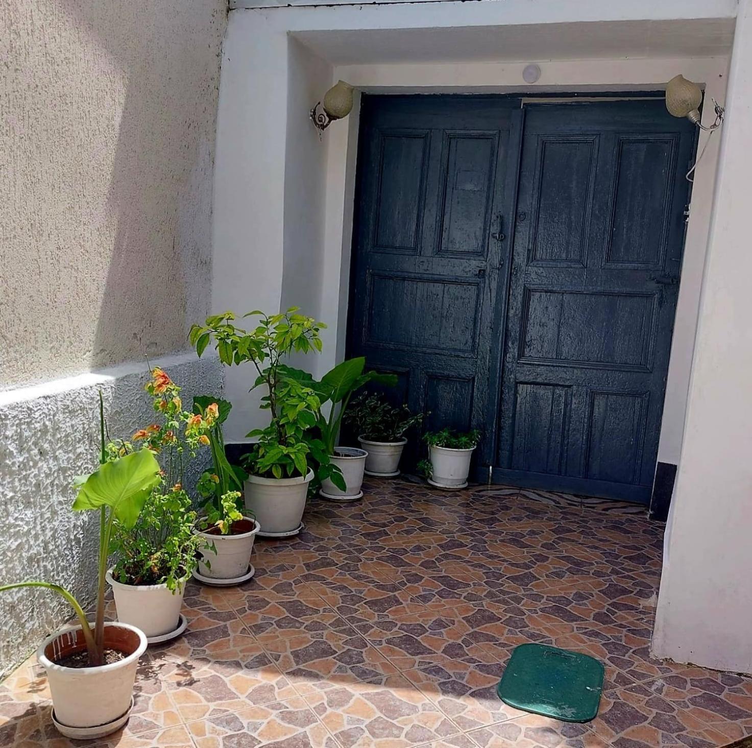 Guest House Flowers ベラト エクステリア 写真