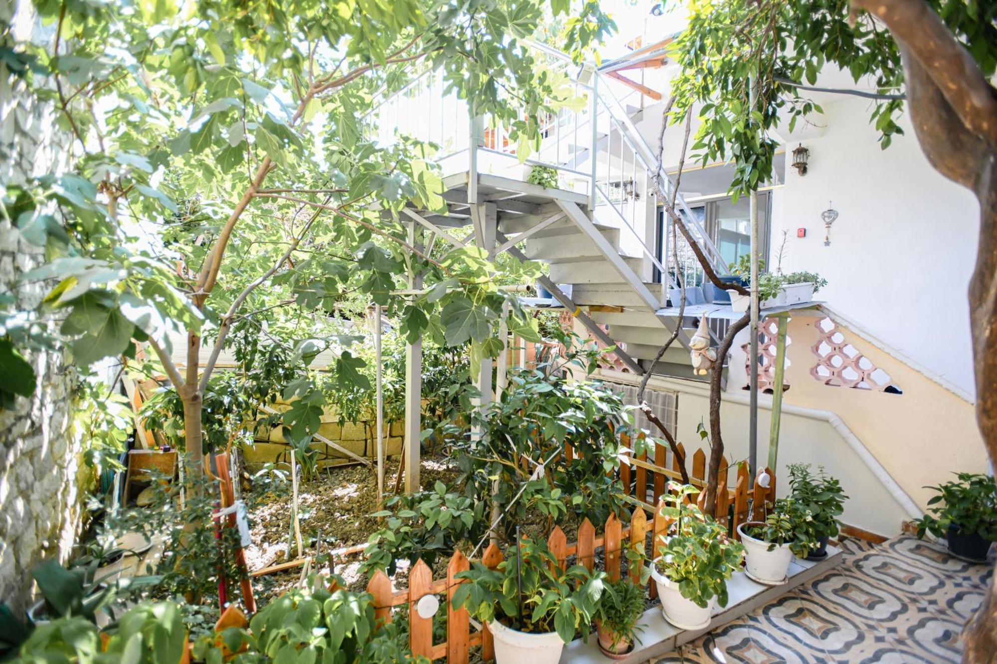Guest House Flowers ベラト エクステリア 写真